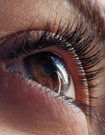 Flavour so good you’ll try to eat with your eyes.